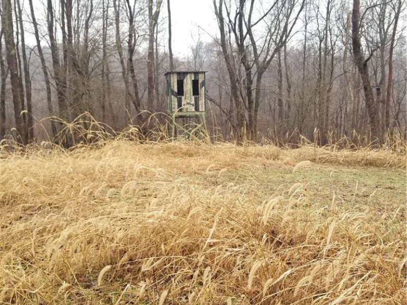 SW Harmony Valley Road, Newcomerstown, OH 43832 Photo 10