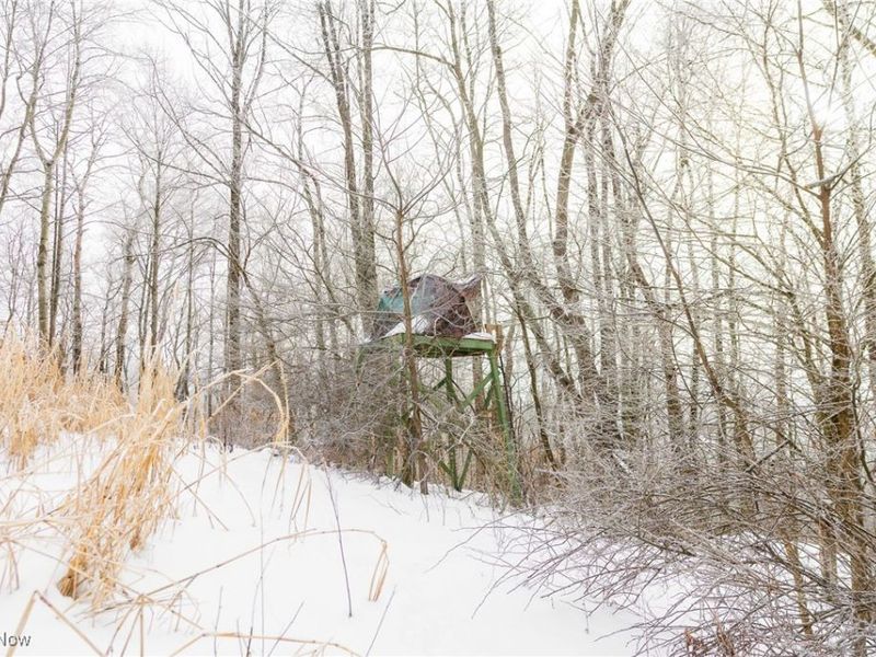 SW Harmony Valley Road, Newcomerstown, OH 43832 Photo 10