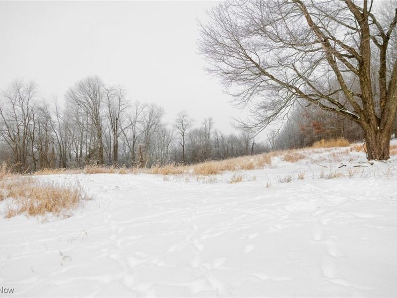 SW Harmony Valley Road, Newcomerstown, OH 43832 Photo 11