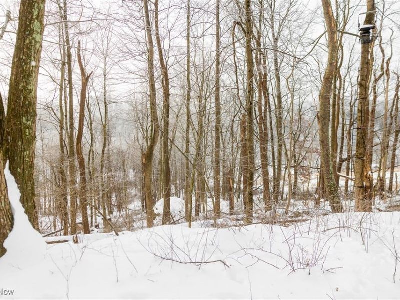 SW Harmony Valley Road, Newcomerstown, OH 43832 Photo 13