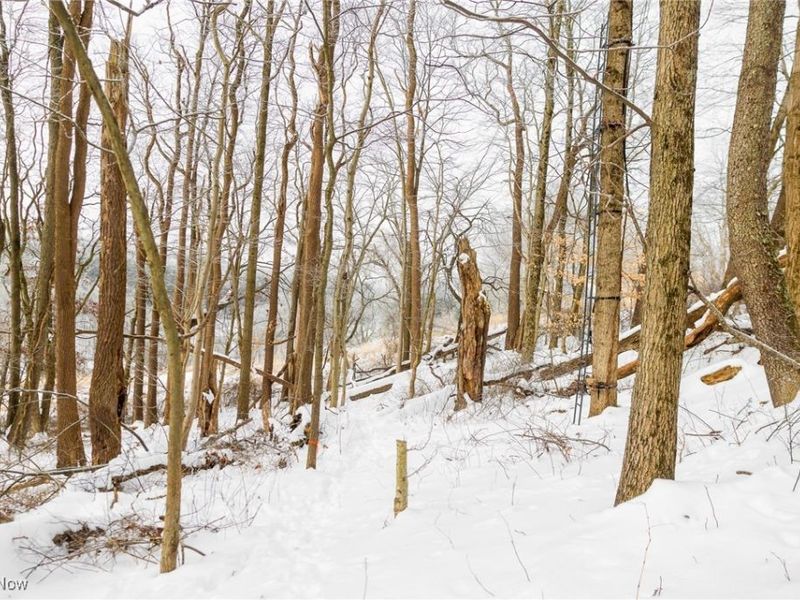 SW Harmony Valley Road, Newcomerstown, OH 43832 Photo 14