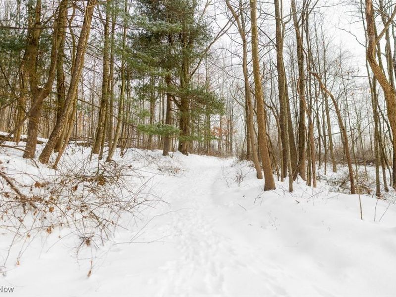 SW Harmony Valley Road, Newcomerstown, OH 43832 Photo 16