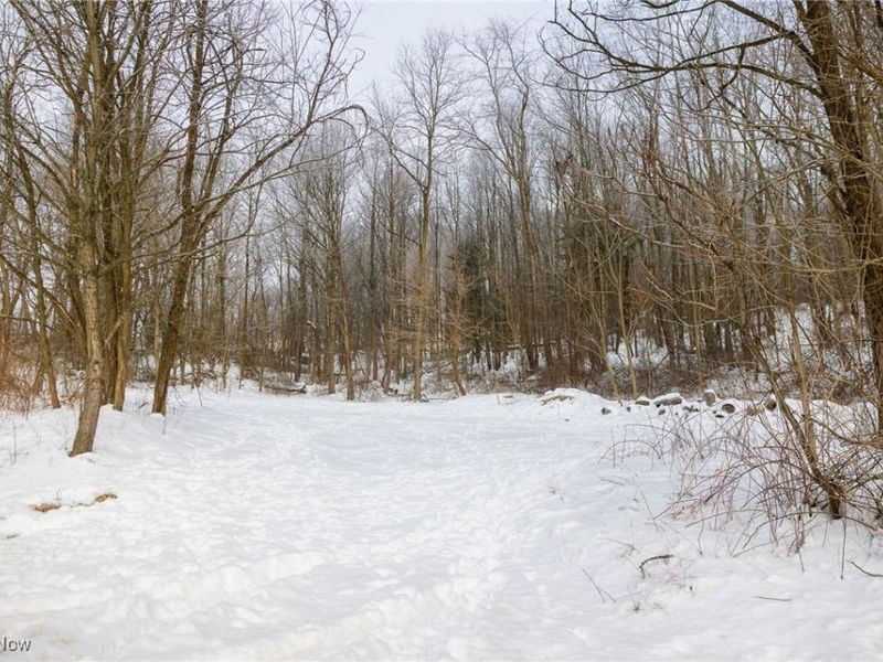 SW Harmony Valley Road, Newcomerstown, OH 43832 Photo 17