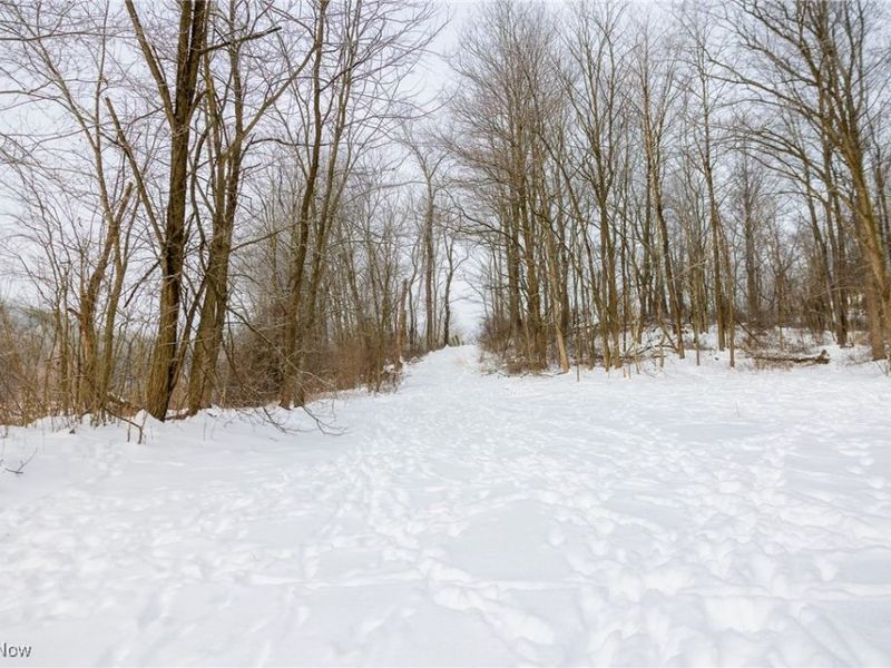 SW Harmony Valley Road, Newcomerstown, OH 43832 Photo 18