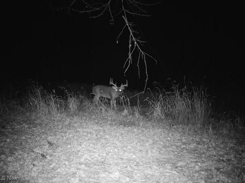 SW Harmony Valley Road, Newcomerstown, OH 43832 Photo 19