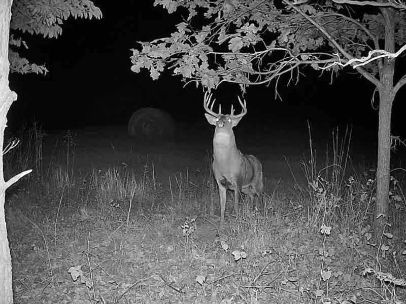 SW Harmony Valley Road, Newcomerstown, OH 43832 Photo 20