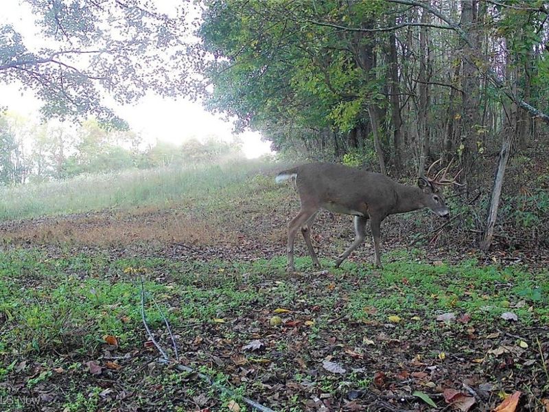 SW Harmony Valley Road, Newcomerstown, OH 43832 Photo 21