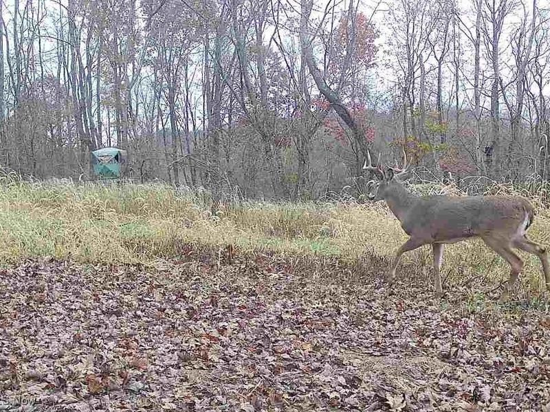 SW Harmony Valley Road, Newcomerstown, OH 43832 Photo 22