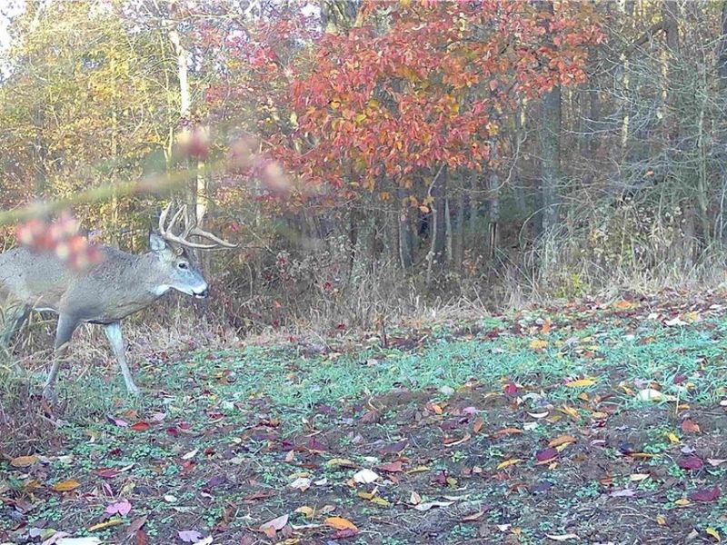 SW Harmony Valley Road, Newcomerstown, OH 43832 Photo 23