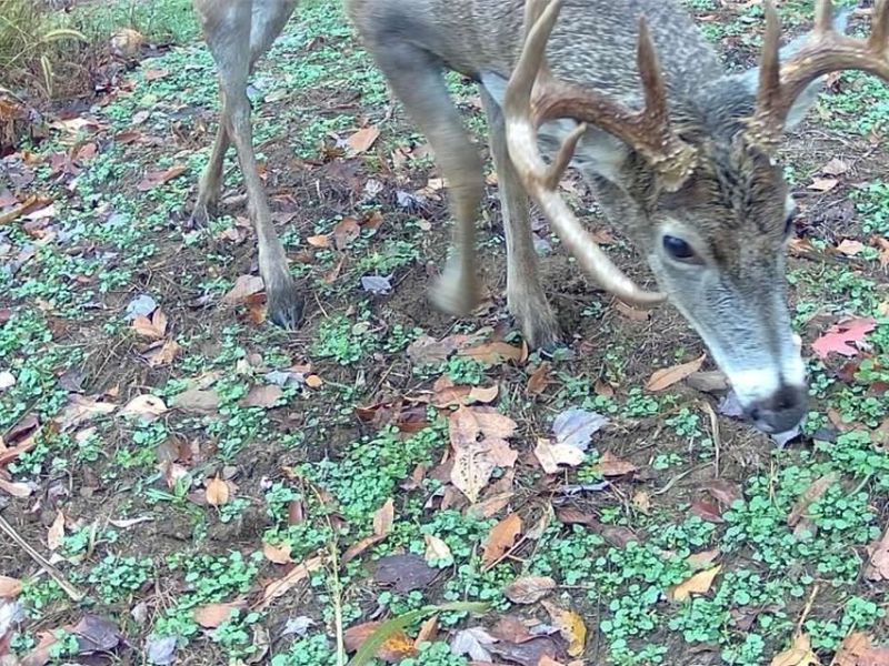 SW Harmony Valley Road, Newcomerstown, OH 43832 Photo 24