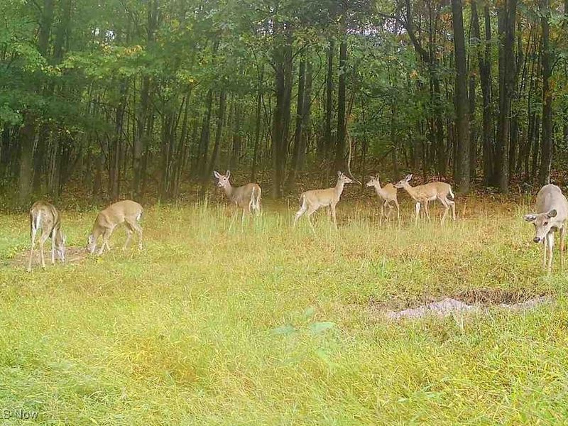 SW Harmony Valley Road, Newcomerstown, OH 43832 Photo 25