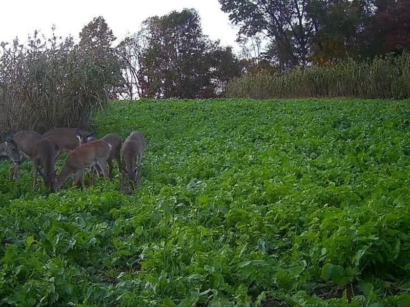 SW Harmony Valley Road, Newcomerstown, OH 43832 Photo 26