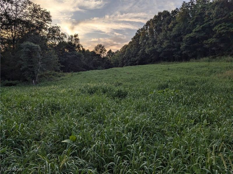 SW Harmony Valley Road, Newcomerstown, OH 43832 Photo 31