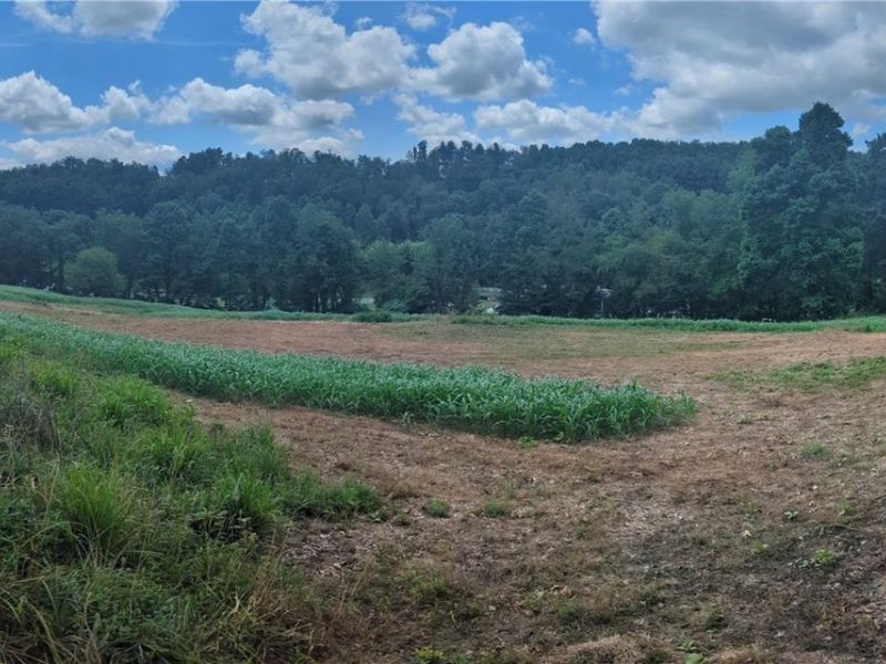 SW Harmony Valley Road, Newcomerstown, OH 43832 Photo 32