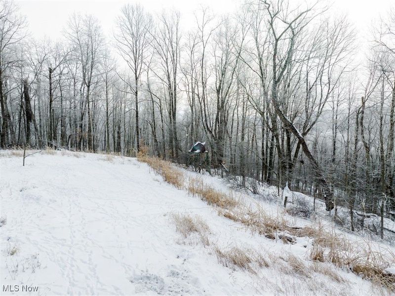 SW Harmony Valley Road, Newcomerstown, OH 43832 Photo 39