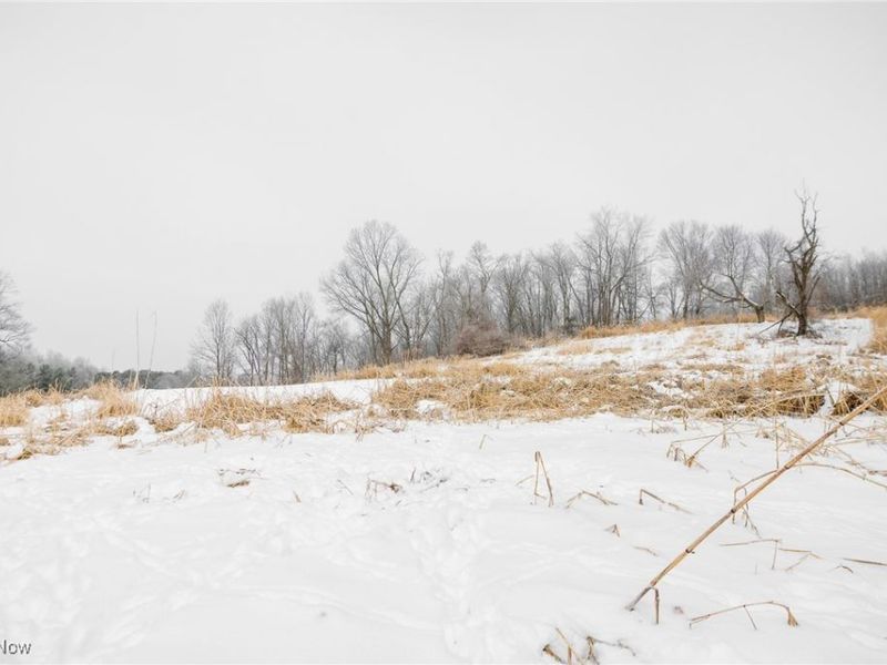 SW Harmony Valley Road, Newcomerstown, OH 43832 Photo 4