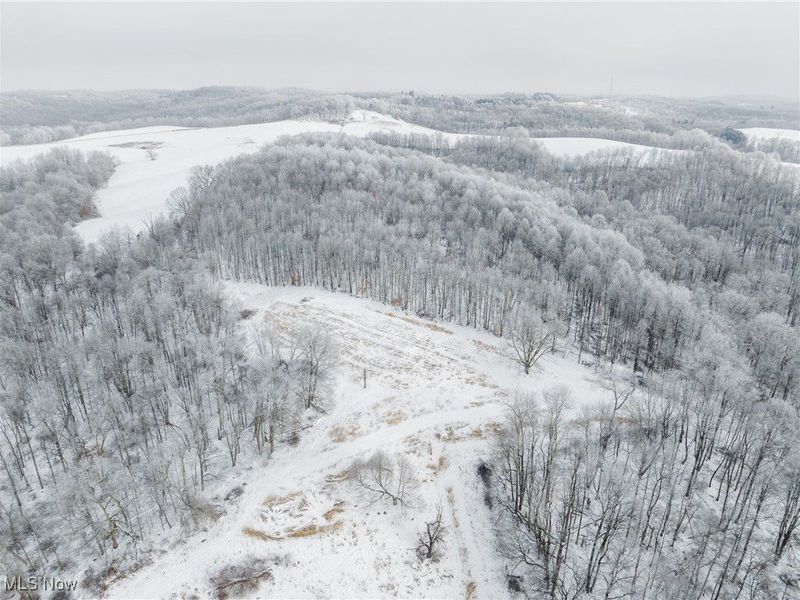 SW Harmony Valley Road, Newcomerstown, OH 43832 Photo 42