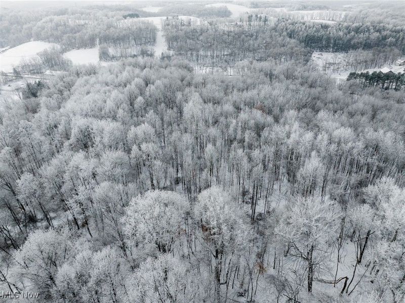 SW Harmony Valley Road, Newcomerstown, OH 43832 Photo 43