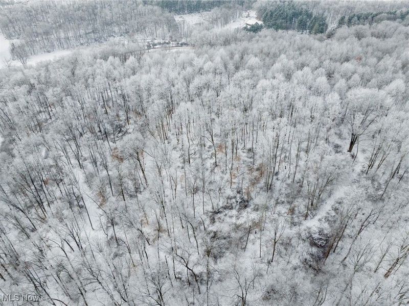 SW Harmony Valley Road, Newcomerstown, OH 43832 Photo 44