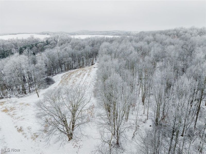 SW Harmony Valley Road, Newcomerstown, OH 43832 Photo 47