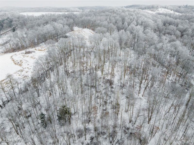 SW Harmony Valley Road, Newcomerstown, OH 43832 Photo 50