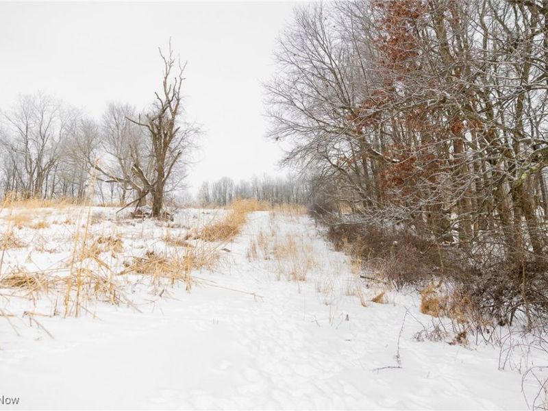 SW Harmony Valley Road, Newcomerstown, OH 43832 Photo 6