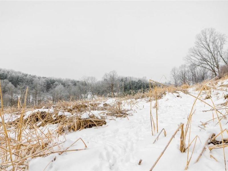 SW Harmony Valley Road, Newcomerstown, OH 43832 Photo 7