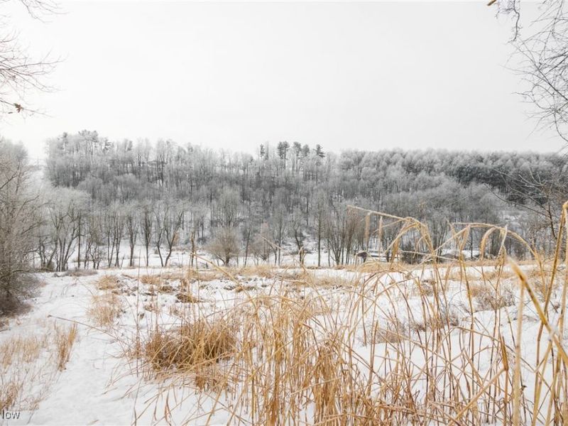 SW Harmony Valley Road, Newcomerstown, OH 43832 Photo 8