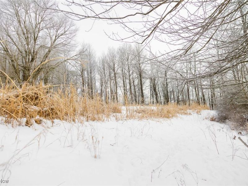 SW Harmony Valley Road, Newcomerstown, OH 43832 Photo 9