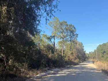 ZZZ NETTLES Drive, Florahome, FL 32140