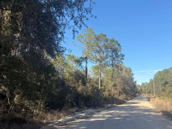 ZZZ NETTLES Drive, Florahome, FL 32140