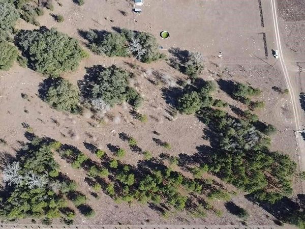 NE 101 STREET, ARCHER, FL 32618