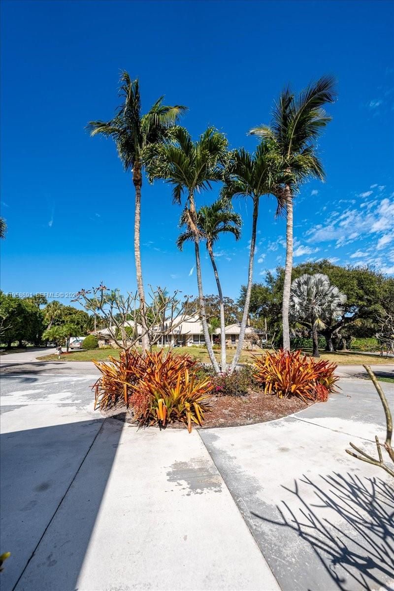 3 Gumbo Limbo Way , Sewalls Point, FL 34996 Photo