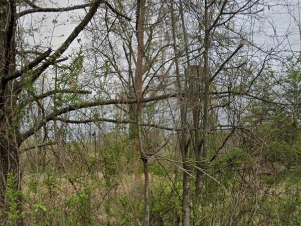 Lot 23-24 SE Alabama Street, Camden, AR 71701