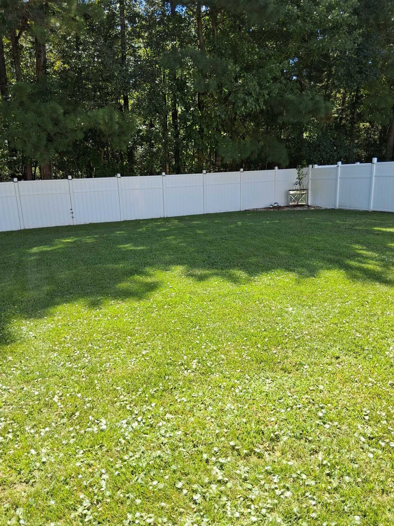 309 Palmetto Glen Dr. Photo 9