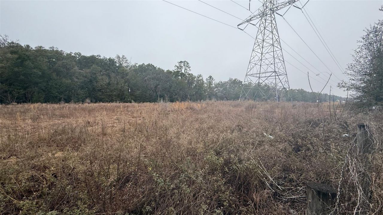 12656 SE 78th Terrace, Belleview, FL 34420 Photo