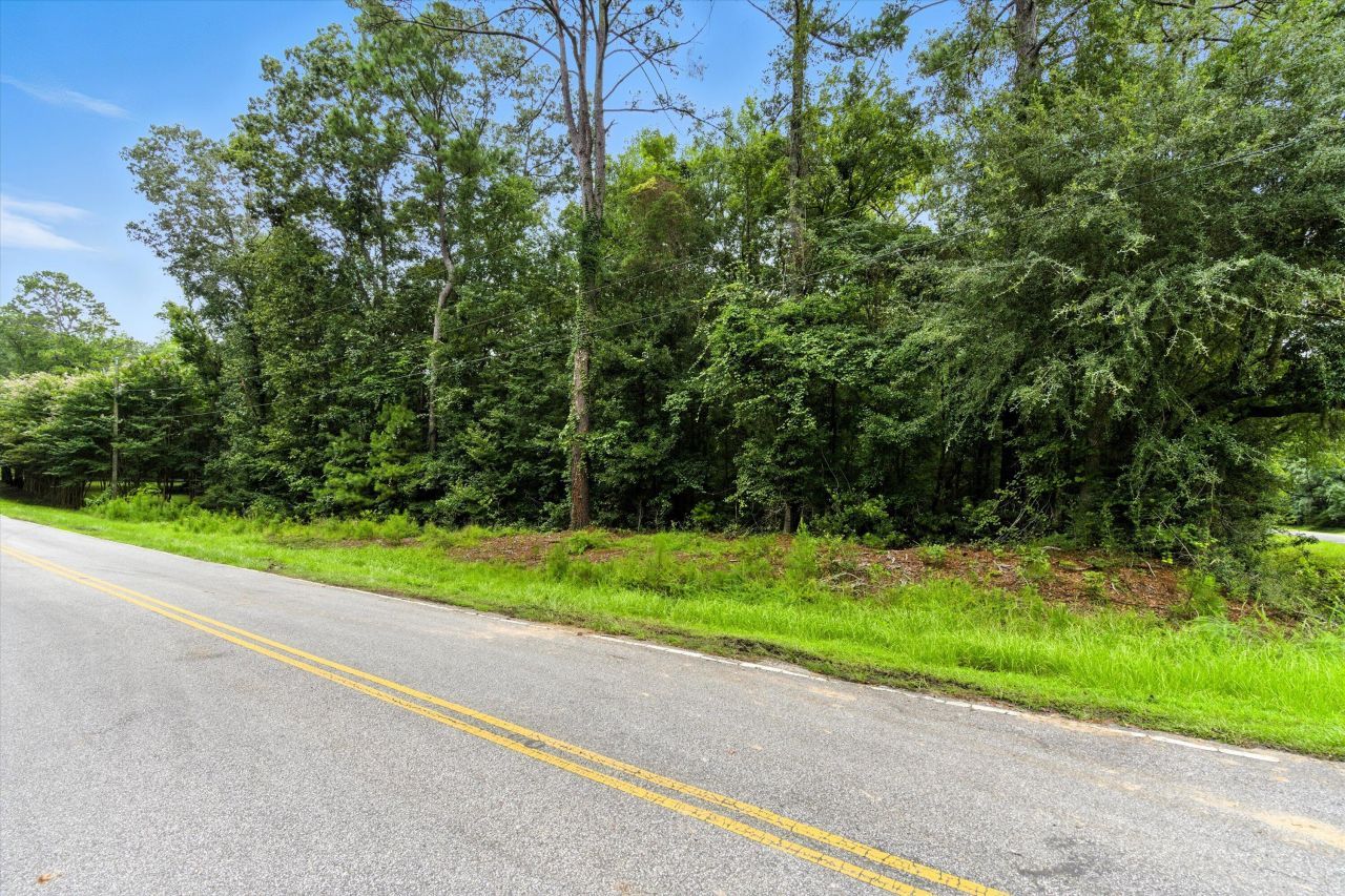 100 Wilton Drive Photo 4