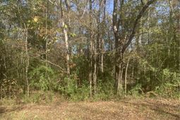 Lot 21 Mary Ellie Drive photo 4