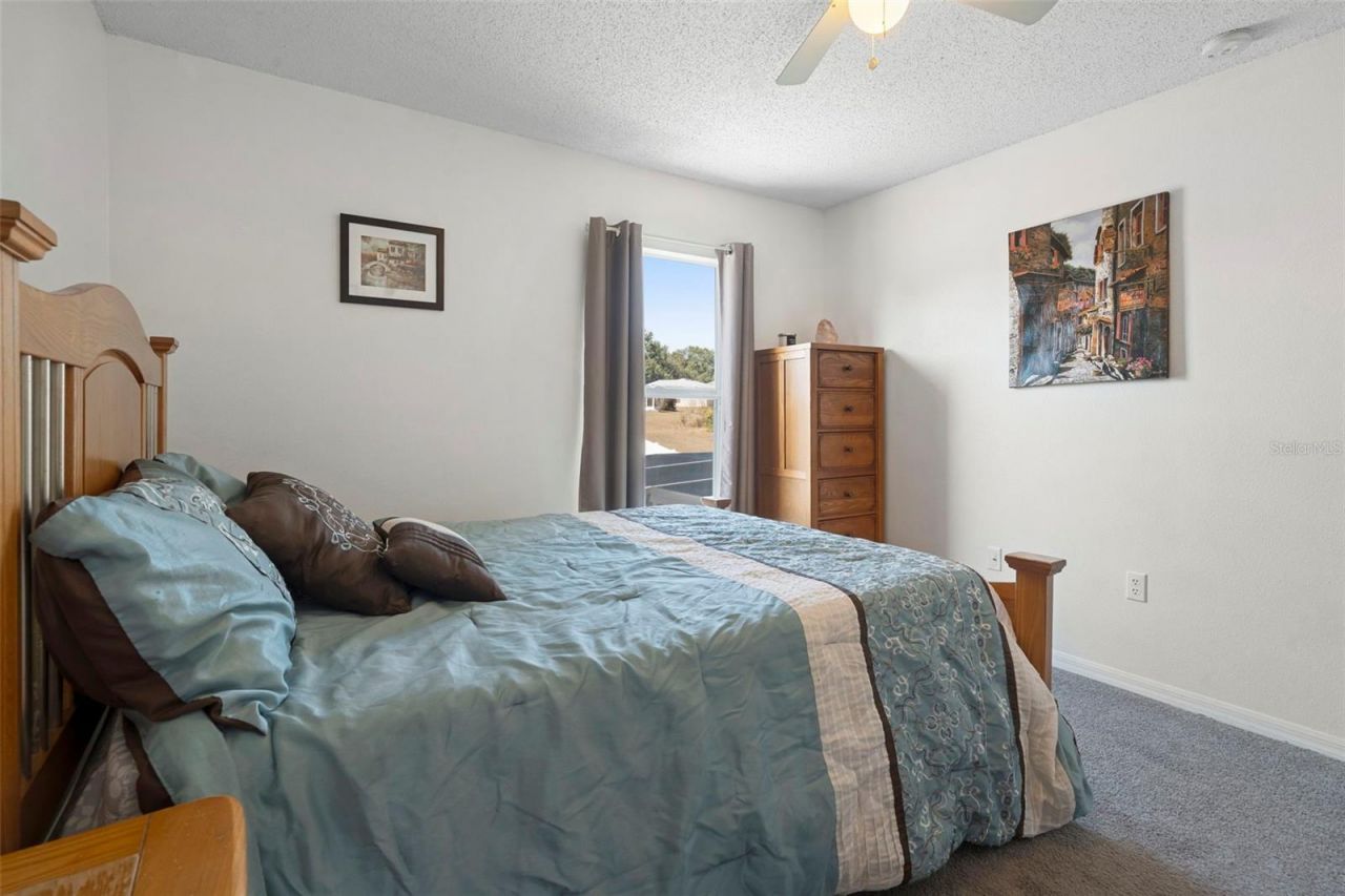 1643 Ridgemoor Drive, Mascotte, FL 34753 Photo