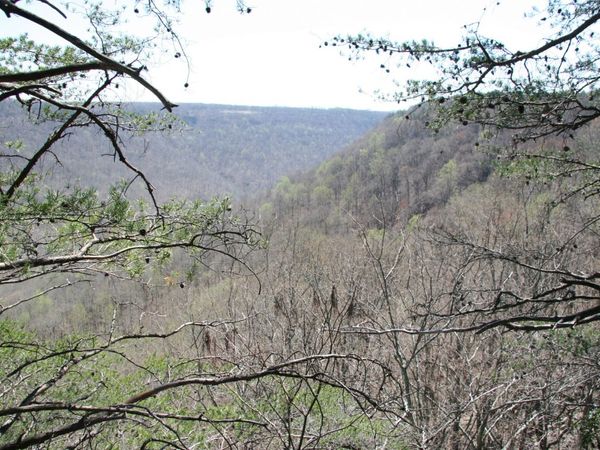 0 Bridal Veil South, Unit Lot 3, Monteagle, TN 37356