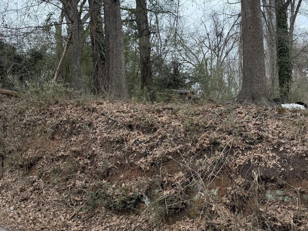 0 Baptist Drive, Hogansville, GA 30230