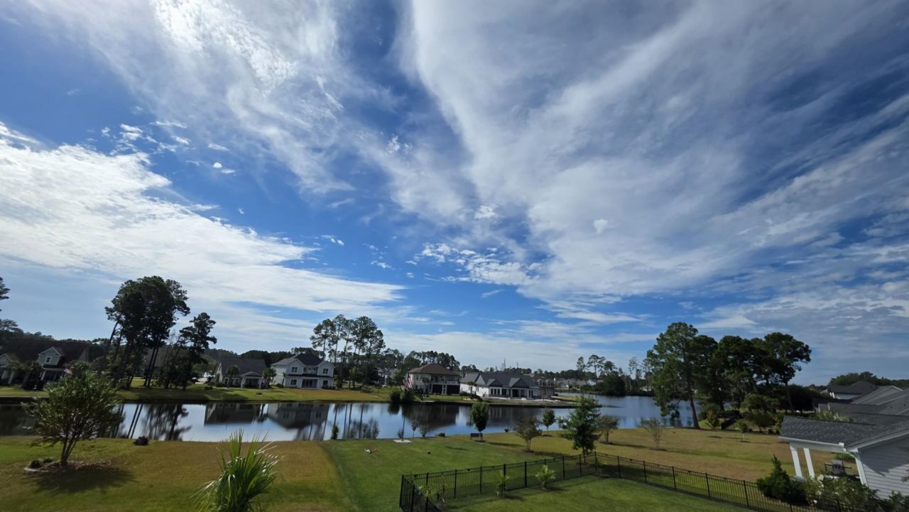 1817 Wood Stork Dr. Photo 24