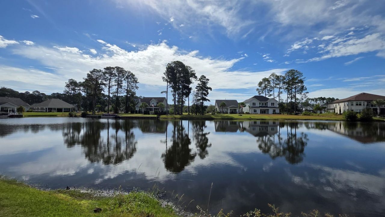 1817 Wood Stork Dr. Photo 6