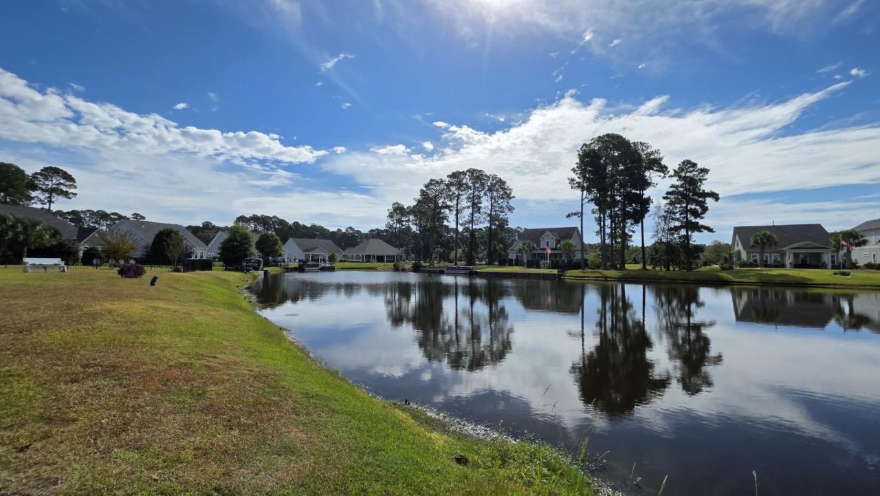 1817 Wood Stork Dr. Photo 7