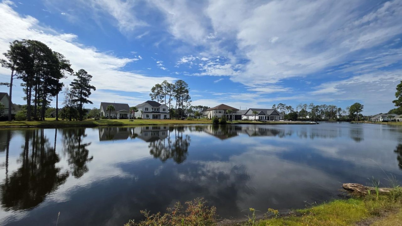 1817 Wood Stork Dr. Photo 8