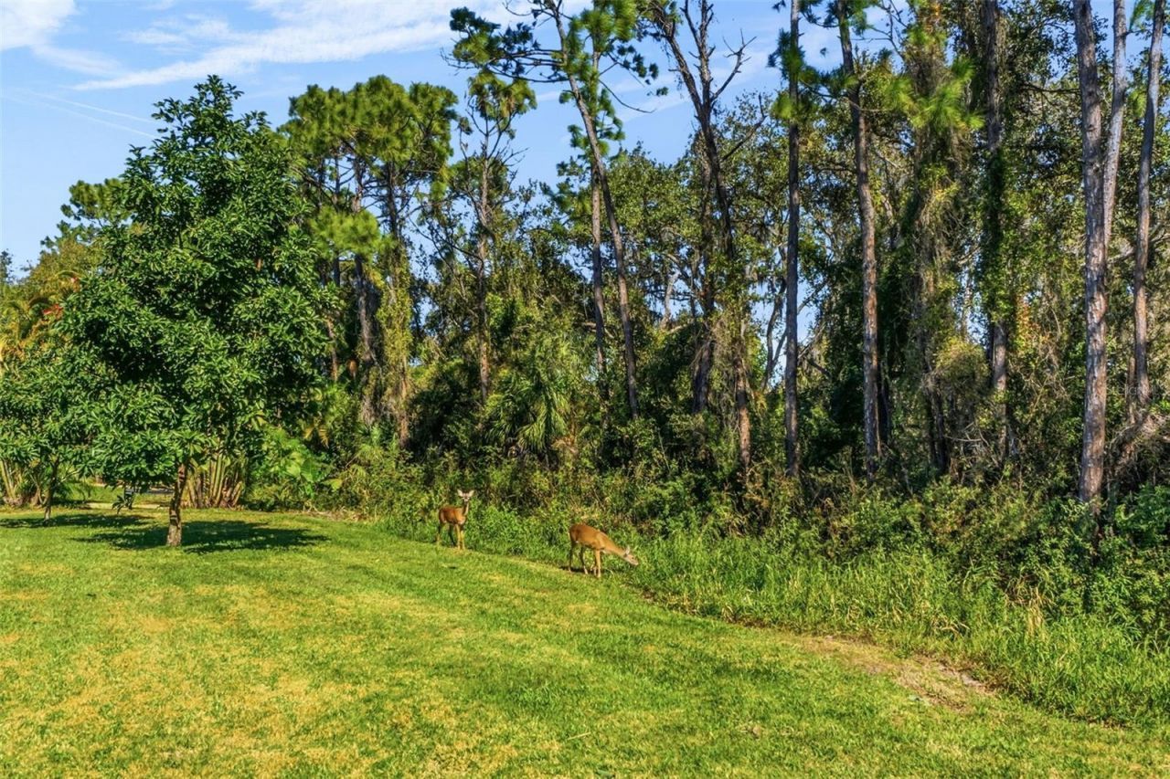 7020 Scrub Jay Drive, Sarasota, FL 34241 Photo