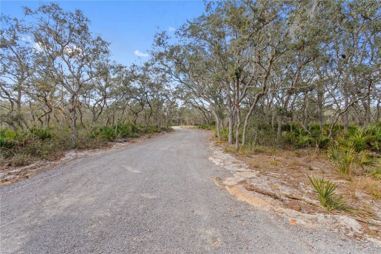 2911 Sand Pine Trail, Frostproof, FL 33843 Photo