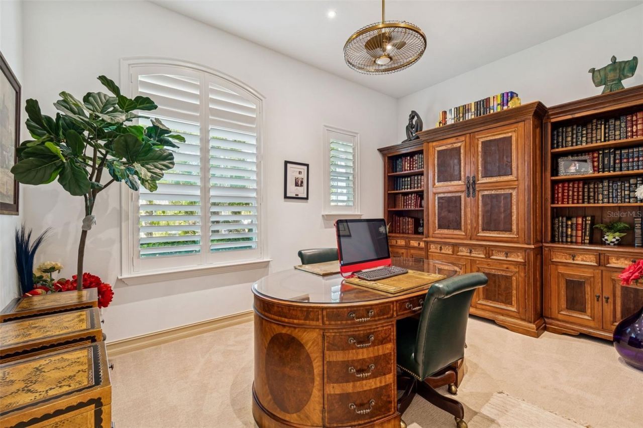 29118 Picana Lane, Wesley Chapel, FL 33543 Photo