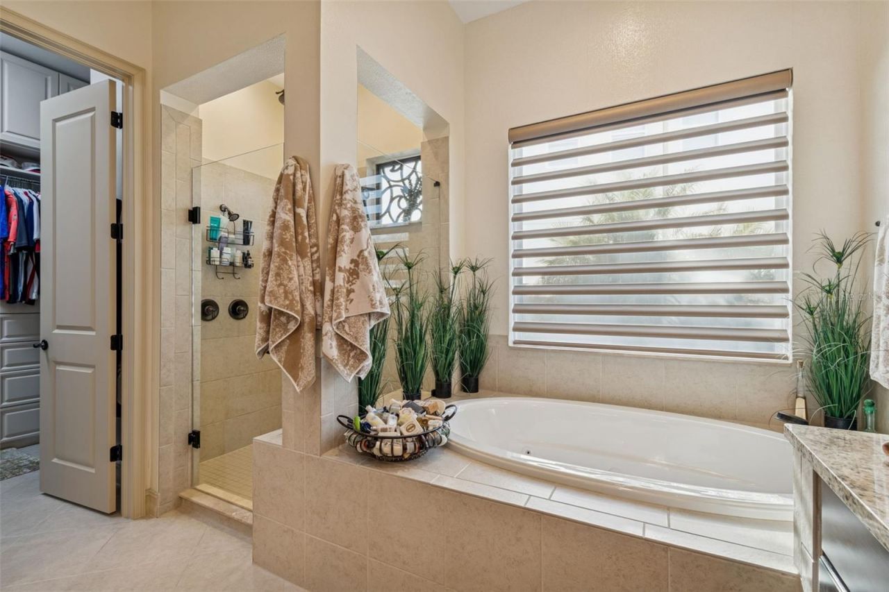 29118 Picana Lane, Wesley Chapel, FL 33543 Photo