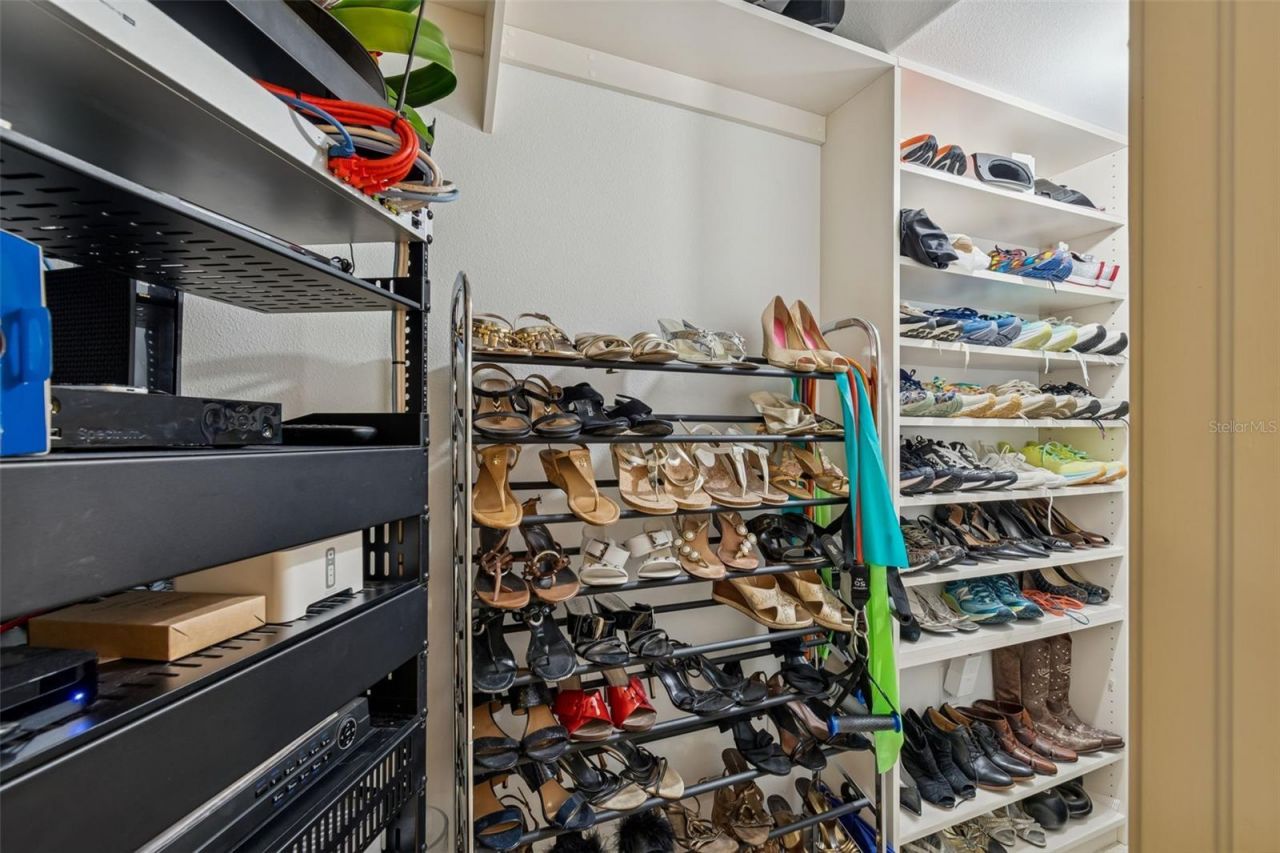 29118 Picana Lane, Wesley Chapel, FL 33543 Photo